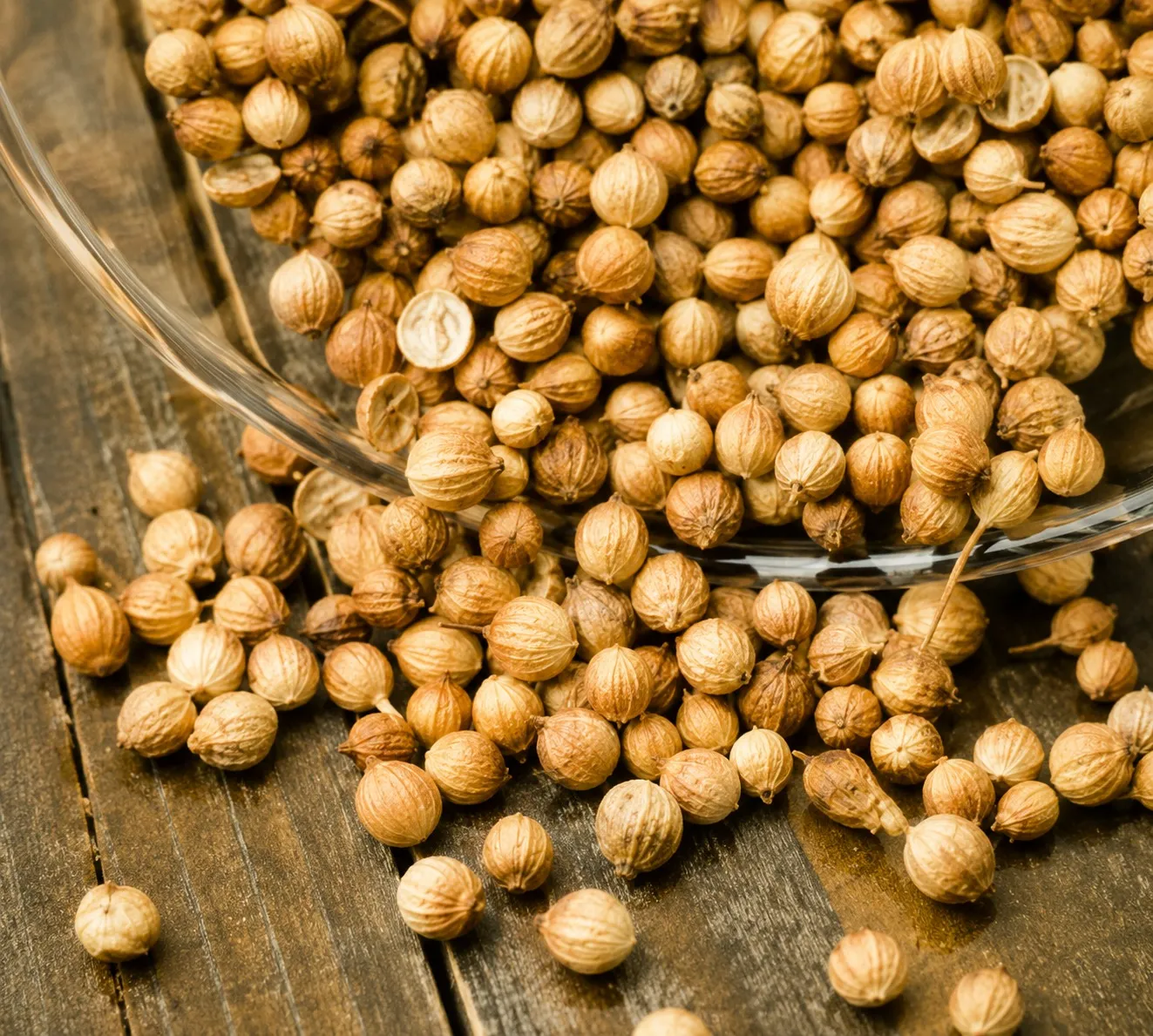 Coriander Seeds